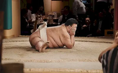 efectos-negativos-a-largo-plazo-del-sobrepeso-en-gatos_h2_1258.webp
