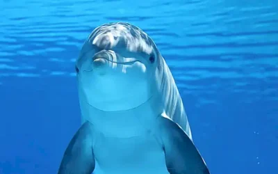 cultura-zoologica_h2_372.webp