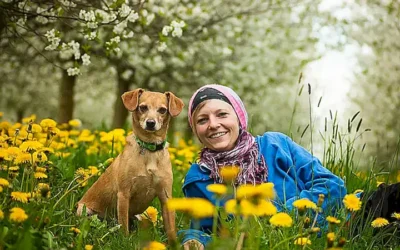 formula-general-para-calcular-la-edad-de-un-perro-en-anos-humanos_h2_1330.webp