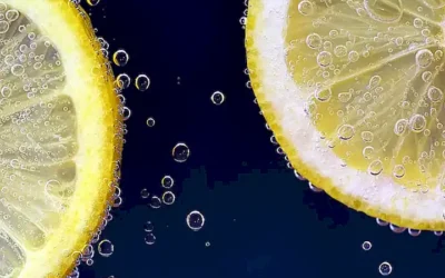 fuentes-de-vitaminas-para-gatos_h2_1005.webp