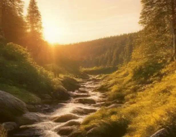 picture of a serene Norwegian forest bathed in golden sunlight, with lush vegetation and picturesque scenery.