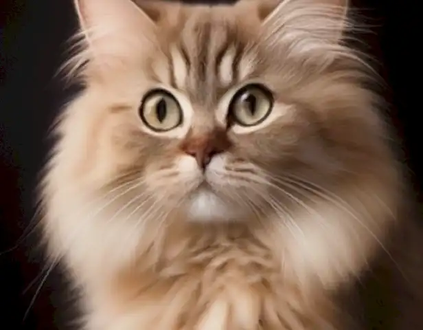 Magazine para gatos de Peludos.top showcases the variety of content available on the website, including information, tips, and entertainment for cat lovers.