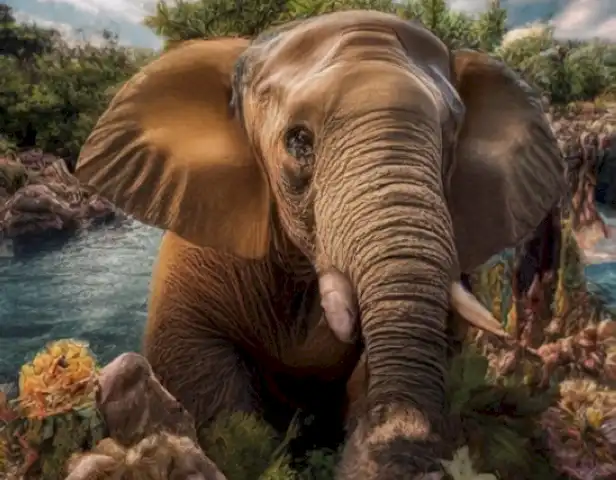 Zooes plus: conoce el mundo animal en un viaje sin igual mostrará imágenes y videos de diferentes animales del mundo, haciendo que los visitantes puedan explorar el mundo animal en un formato visual y atractivo.