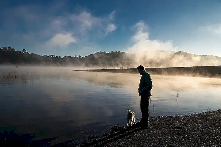 Herramientas para mantener al perro tranquilo