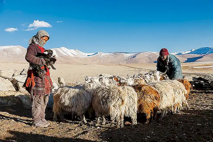 Himalayo