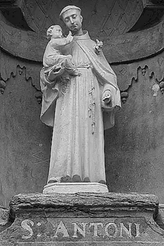 Historia del Día de San Antón