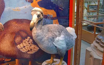 causas-de-su-extincion_h2_71.webp