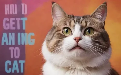 Ilustración de un gato con texto en el fondo: 10 consejos para ganarse la confianza de un gato