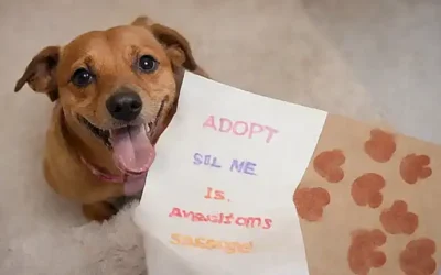 Perfil de perro sorrindo con huellas en el papel y textos sobre adopción