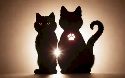 Silueta de gato brillante