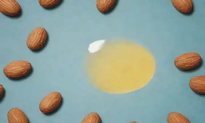 Es patrón delicado con gotas de aceite de almendras en un perro y con título Remedios para Infecciones Oídos de Perros