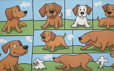Los perros encuentran la diversión con juegos de rompecabezas