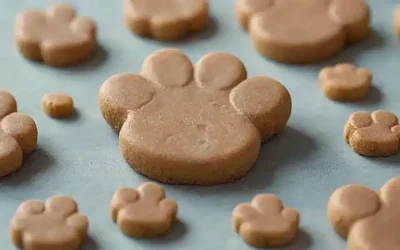 ¡Snacks para perros deliciosos con recetas sencillas y diseño de huellas de pata!