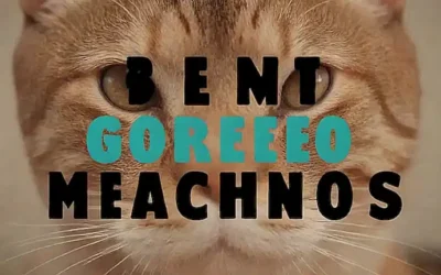 **El texto en negritas presenta 8 datos sorprendentes sobre gatos machos en un estilo gráfico con ilustraciones de felinos.**