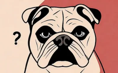 Un rostro de bulldog mira hacia un hocico de pitbull