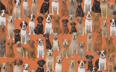 Este papel de pared en color es una fotografía de diez razas de perro en tamaño real