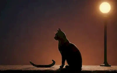 Illustration de gato solitario con señales de auxilio