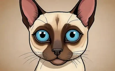 La imagen de un gato Siamese ilustrada