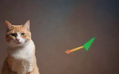 Ilustraciones de gatos con información sobre las causas más comunes de la cojera