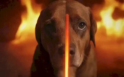 Arte de perros ardentes