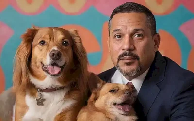 Un papel tapiz con perros pastor aleman en pareja