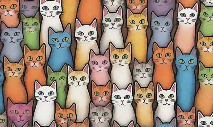 Imágenes de gatos vibrantes