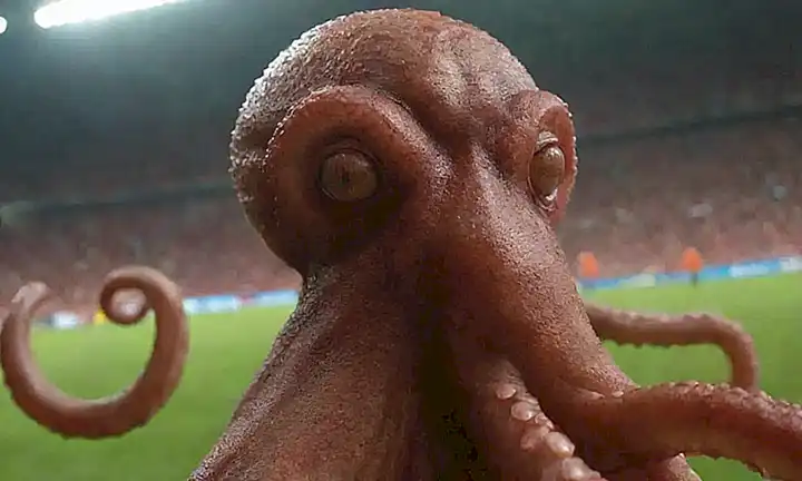 Predicción del retrato de Octopus en la Copa Mundial de fútbol de 2010