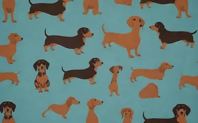 Un patrón con motivos de diez razones para amar la raza Dachshund ilustrado en forma de dibujos y texto en negrita