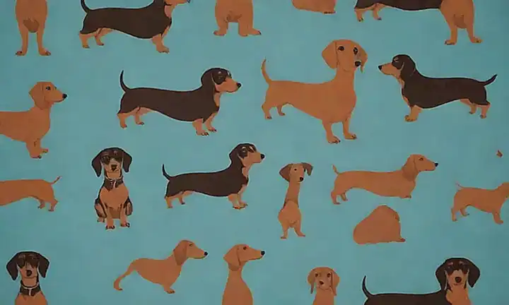 Un patrón con motivos de diez razones para amar la raza Dachshund ilustrado en forma de dibujos y texto en negrita