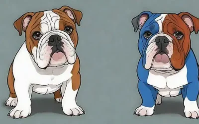 **Los Bull terrier