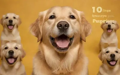 Un retrato de labrador retriever con una frase en español sobre diez cosas que solo se comprenden por haber vivido uno