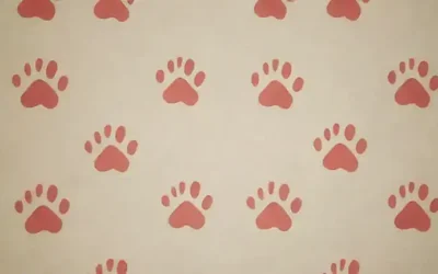 La pared tiene un patrón de huellas de gatito adorable con letra en negrita