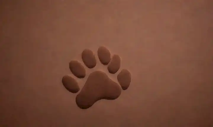 Papel tapiz con iconos de huellas de perro, posiciones de dormir del perro y simbolismos del sueño para dueños de mascotas