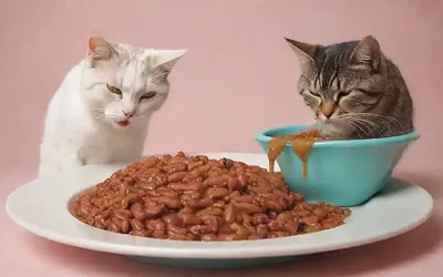 Imágenes de gatos vomitando con texto Comida (vomiting cats on the image)    This translates literally to: *Images of cats vomiting with Food text displayed.* It is grammatically correct and concise. Also