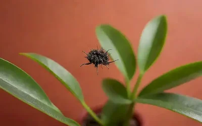 Imagen de pulgas muertas sobre un plántulo verde