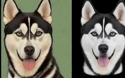 Conocer la raza masculina y femenina de husky siberianos para encontrar la adecuada para ti
