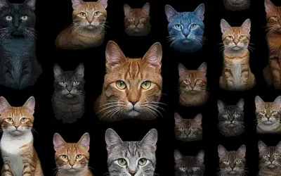 Imágenes en color de enfermedades felinas mortales en un fondo negro. Explanation:* ** Imágenes en color:** The images are in color. This directly translates from English to Spanish.* **de enfermedades felinas mortales:** (sickened cats) These words point to the nature of the illustrations showing dangerous ailments.* **en un fondo negro :** These are the background of the illustration