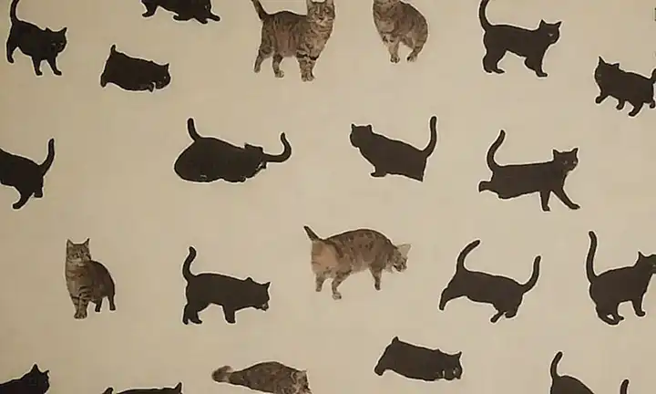 ¿Un papel de pared con gatos que definen su comportamiento y sus razones?