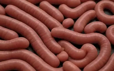 ¿Cómo prevenir