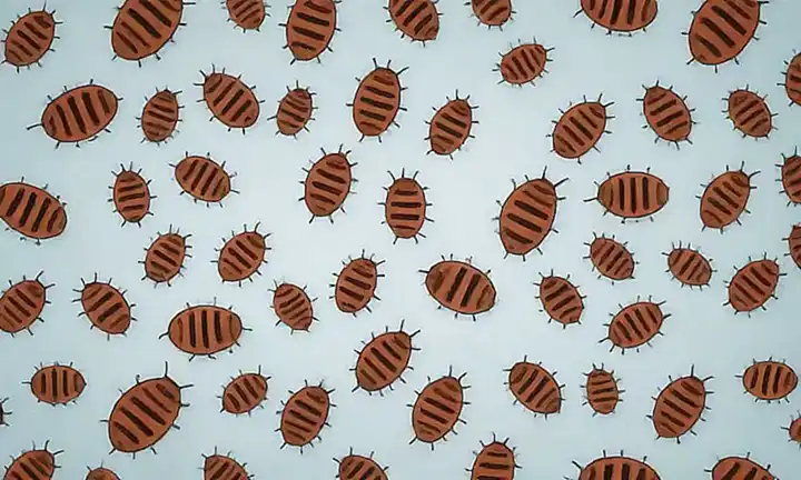 Un tapiz digital con imágenes de gusanos de la cama y consejos para eliminálos en casa