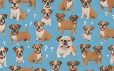 Papel tapiz de animales juguetones con Bulldogs y preguntas