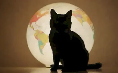 Un gato audaz con un globo y rostro preocupado.   This translates to: A brave