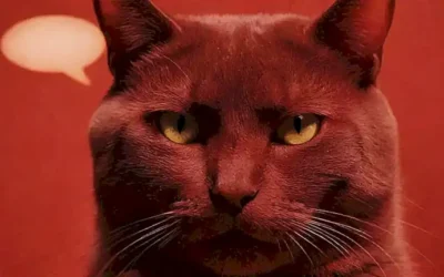 Un felino con advertencia de olores fuertes y productos de limpieza