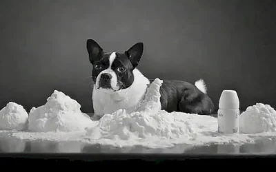 Ilustración de perro y gato en blanco y negro con jabón para afeitar y quita grasse