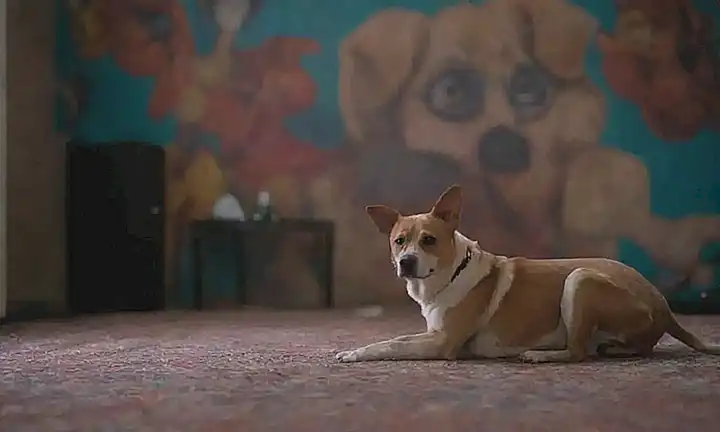 El patrón de la pared muestra el caos y la agonía canina
