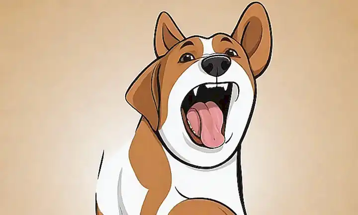 Canine yawn