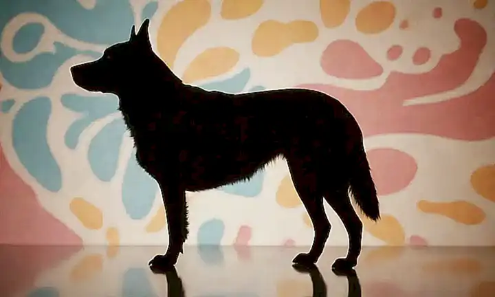 Silueta de perro poderosa contra un fondo de patrones abstractos que simbolizan la lealtad y compañerismo con texto Protege el Instinto en tipografía serif