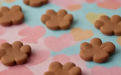 Las fotos de perros con pies adorables en papel pintado colorido muestran recetas: canela