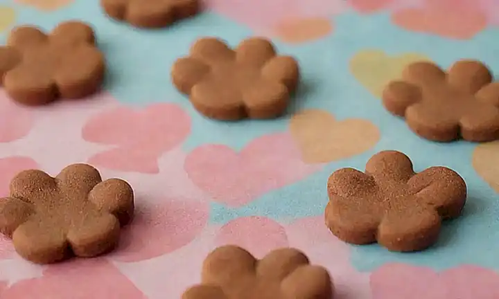 Las fotos de perros con pies adorables en papel pintado colorido muestran recetas: canela
