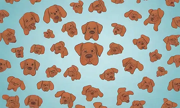 Olor de aliento en perros: causas